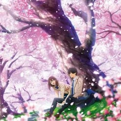 ANIPLEX OF AMERICA I Want To Eat Your Pancreas Blu-ray