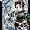 ANIPLEX OF AMERICA Demon Slayer Kimetsu No Yaiba Volume 1 Limited Edition Blu-ray