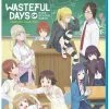 SENTAI FILMWORKS Wasteful Days Of High School Girls Blu-ray